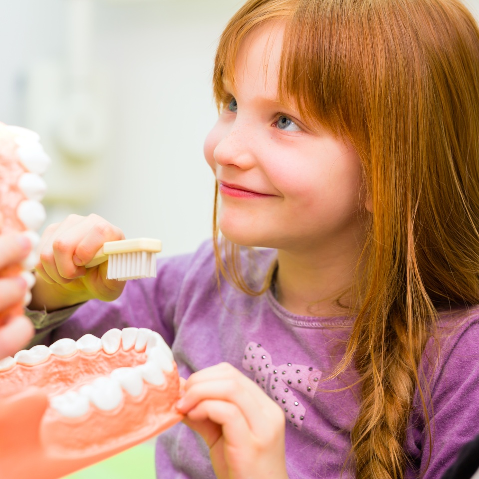 Female dentist explaining girl cleaning tooth with toothbrush on model